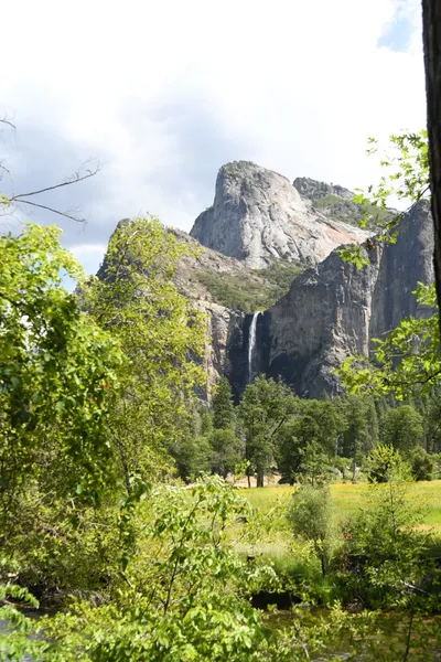 DSC_4337 (Large).JPG